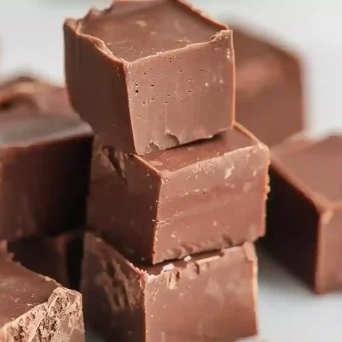 Homemade Chocolate Fudge – Close Up