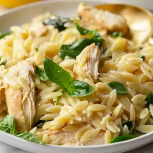 Cozy One Pot Lemon Chicken Orzo Pasta for Busy Nights